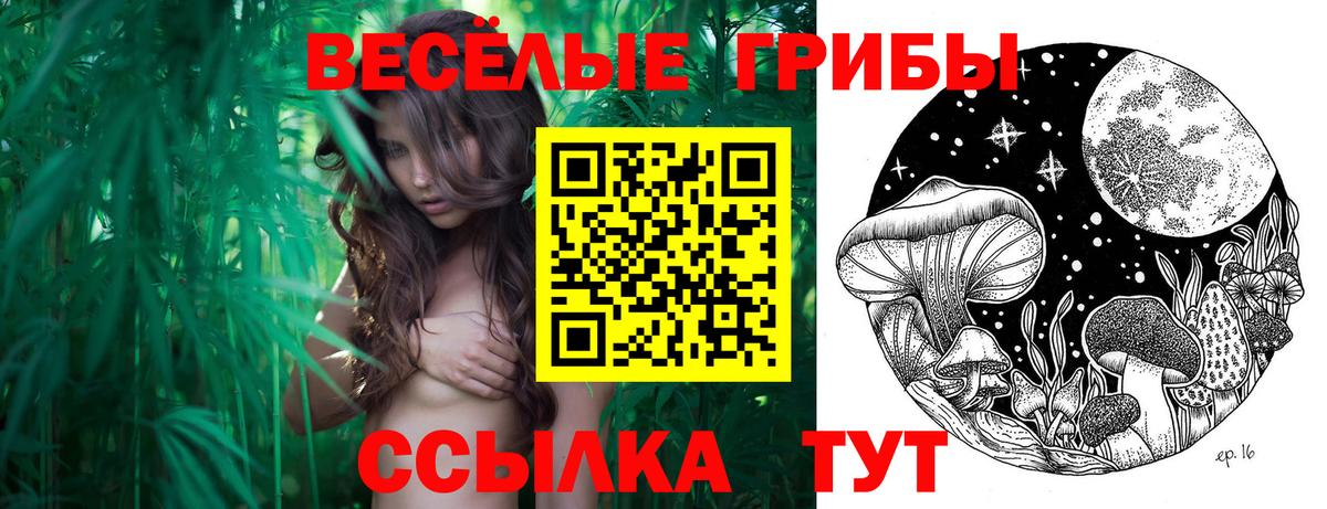 Галлюциногенные грибы мицелий  Нижнеудинск 